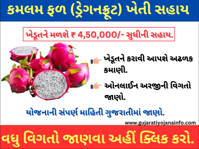 Dragon Fruit Sahay Yojana Gujarat